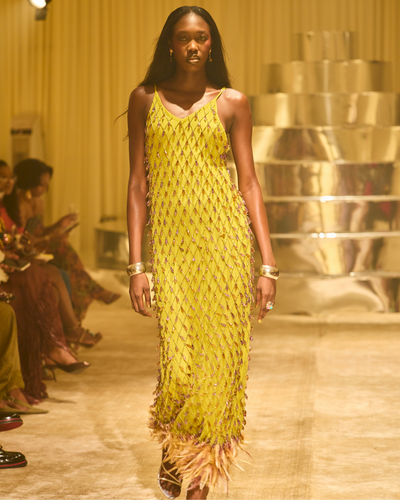 Desi Feather Maxi Dress