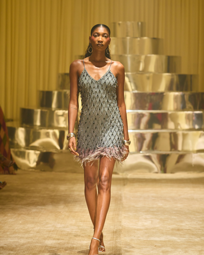 Desi Feather Mini Dress